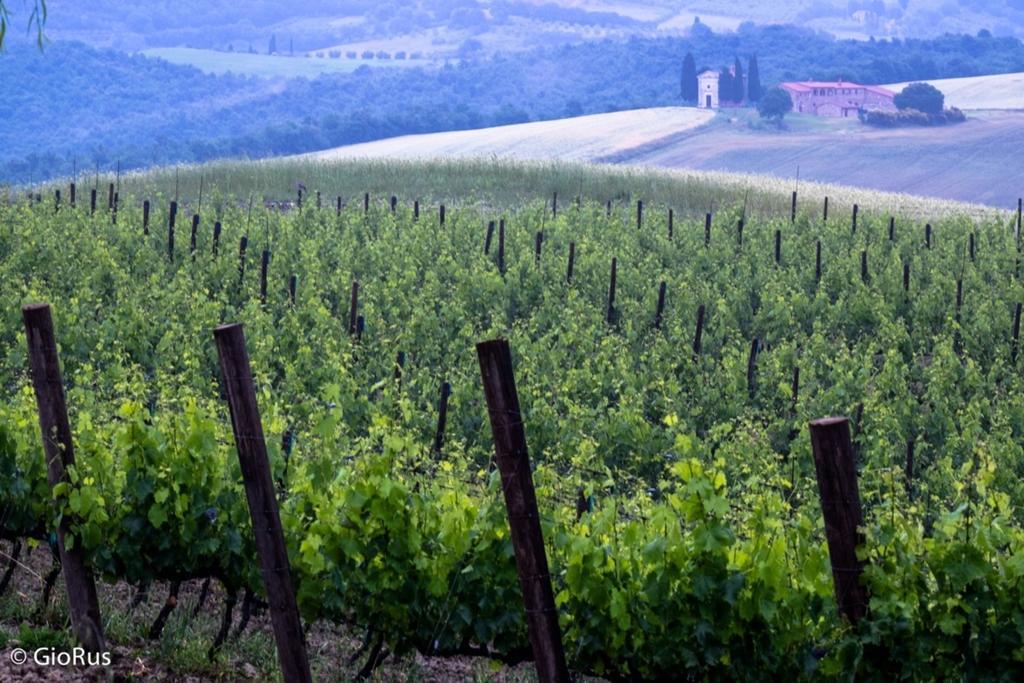 San Quirico dʼOrcia Agriturismo La Buca Di Bellugi מראה חיצוני תמונה