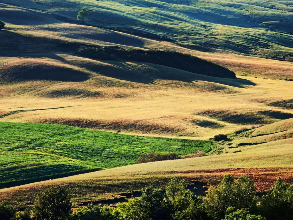 San Quirico dʼOrcia Agriturismo La Buca Di Bellugi מראה חיצוני תמונה