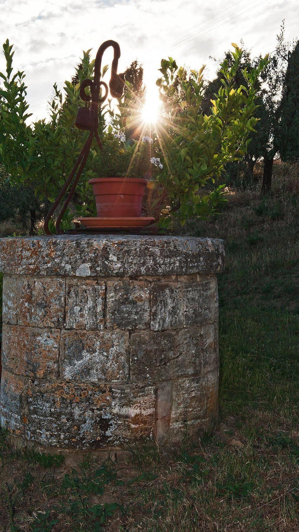 San Quirico dʼOrcia Agriturismo La Buca Di Bellugi מראה חיצוני תמונה